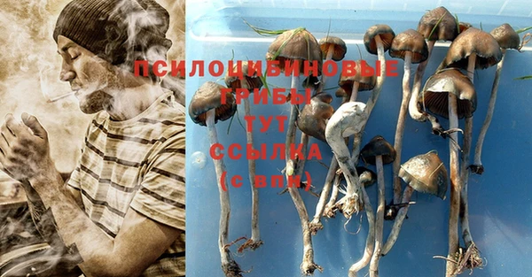 герыч Алексин