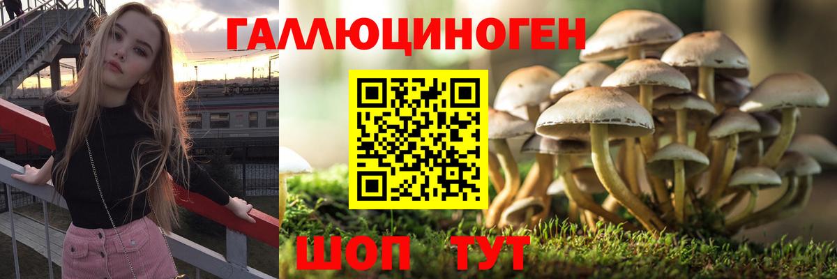 купить наркотики цена  Вход с VPN  Богородицк  Галлюциногенные грибы GOLDEN TEACHER 